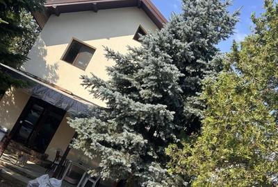 Casă cu 4 camere în Roșu - 6