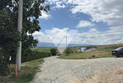 Teren agricol intravilan de 1198 mp, în Șura Mare - 2