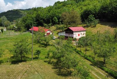 Casă cu 4 camere în Vale