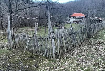 Casă cu Teren 15000 Mp în Central