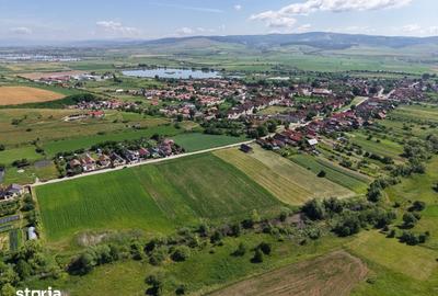 Teren de 10000 mp, în Feldioara