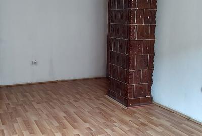 Apartament cu 3 camere decomandat în Berzasca - 2