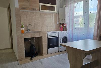 Garsonieră semidecomandată în Gojdu - 9