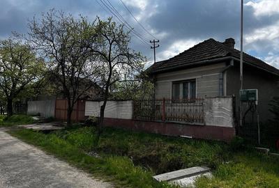 Casă cu Teren 3200 Mp în Șauaieu