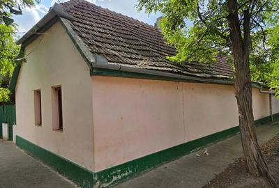 Casă cu 2 camere cu Teren 380 Mp în Tomnatic - 3