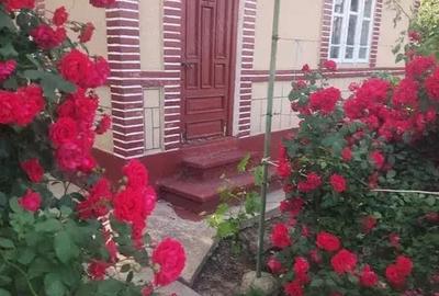 Casă cu Teren 931 Mp în Gheorghe Doja - 2