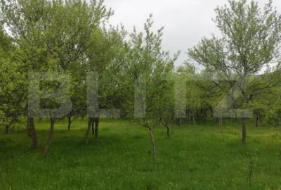 Teren în Brănișca - 1