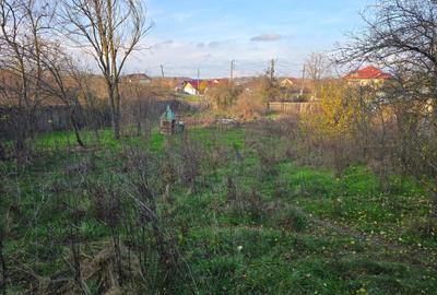 Teren agricol intravilan de 2458 mp, în Bulbucata - 2