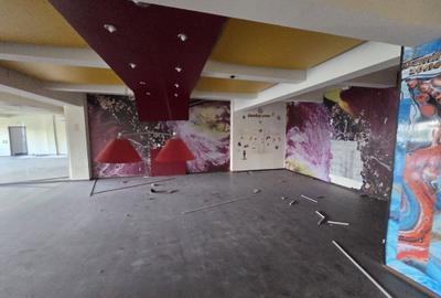 Spațiu comercial, de 340 mp, în Mihai Bravu