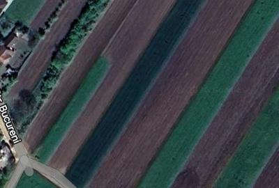 Teren de 5000 mp, în Arcalia - 3