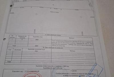Teren de 4300 mp, în Vedea - 10