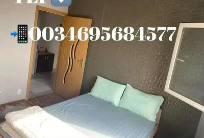 Apartament cu 2 camere decomandat în Central - 2
