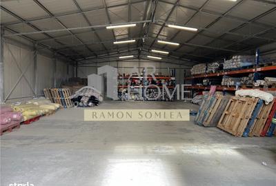 Spațiu comercial, de 870 mp, în Păulești - 13