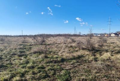 Teren Construcții intravilan de 6740 mp, în Dragomirești-Deal - 3