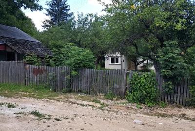 Casă cu Teren 3780 Mp în Hulubești - 16