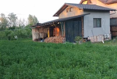 Casă cu 2 camere în Plopu - 2