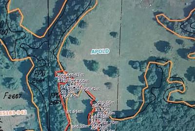 Teren de 17000 mp, în Daia (Apold)