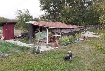 Casă cu Teren 1592 Mp în Schitu - 1