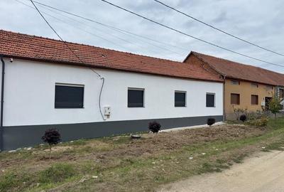 Casă cu 4 camere în Fârliug
