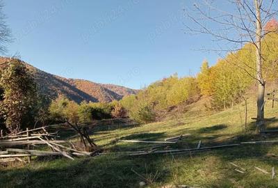 Teren de 11722 mp, în Dragoslavele - 3