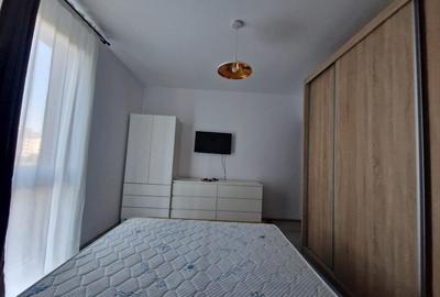 Apartament cu 2 camere decomandat, mobilat în Theodor Pallady - 6