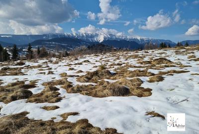 Teren Construcții extravilan de 150000 mp, în Șirnea - 28