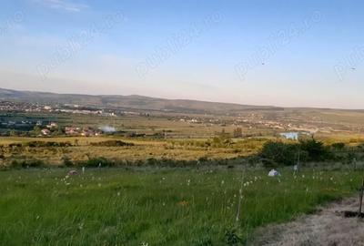 Teren de 13500 mp, în Pâclișa - 7