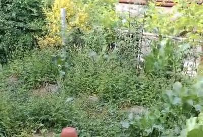 Casă cu 3 camere cu Teren 280 Mp în Central - 1