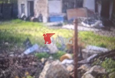 Casă cu Teren 564 Mp în Elisabetin