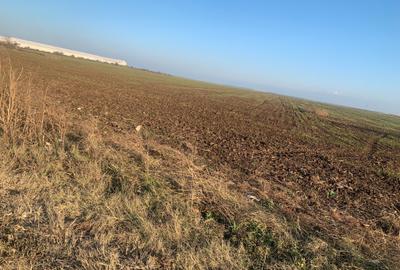 Teren agricol extravilan de 20000 mp, în Popești-Leordeni - 5