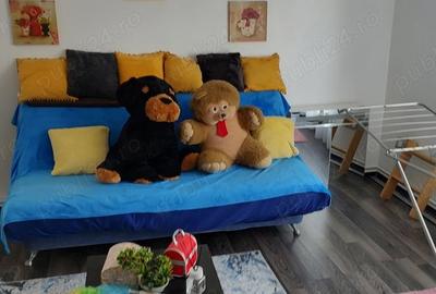Casă cu 5 camere cu Teren 500 Mp în Mărăcineni - 9