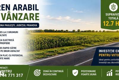 Teren de 127000 mp, în Păulești - 2