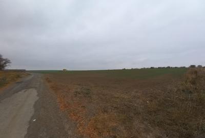 Teren Construcții intravilan de 403 mp, în Valu lui Traian