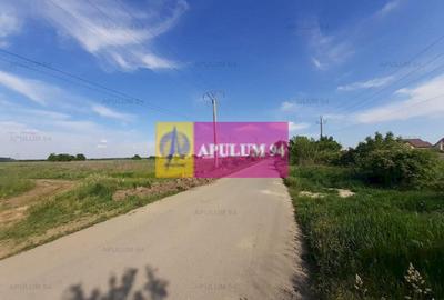 Teren Construcții intravilan de 524 mp, în 1 Decembrie - 19