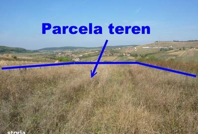 Spațiu comercial, în Hidiș - 15