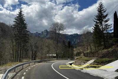 Teren de 10000 mp, în Izvoru - 1