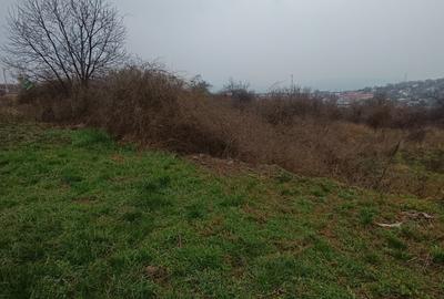 Teren intravilan de 11000 mp, în Tomești - 2