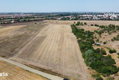 Teren de 10000 mp, în Micălaca