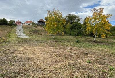 Teren de 3744 mp, în Gheorghieni - 1