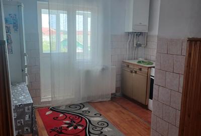 Apartament cu 3 camere semidecomandat, mobilat în Dumbrava 2 - 1