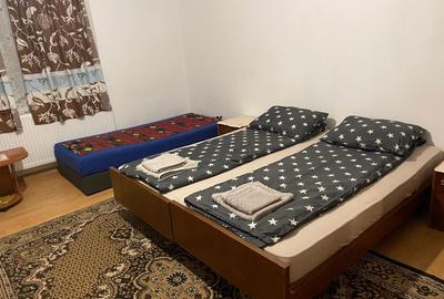 Casă cu 2 camere în Viișoara - 6