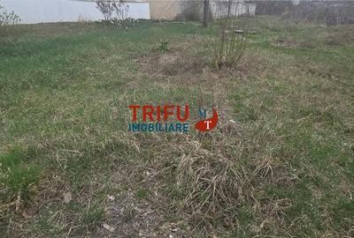 Teren de 1700 mp, în Tolstoi