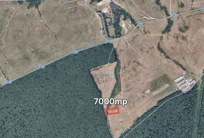 Teren de 7000 mp, în Central
