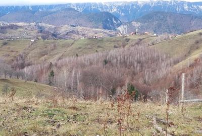 Teren de 4608 mp, în Măgura - 2