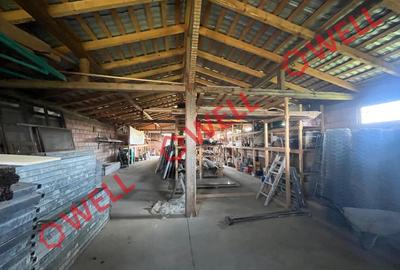 Spațiu industrial, de 252 mp, în Târgu Secuiesc - 10