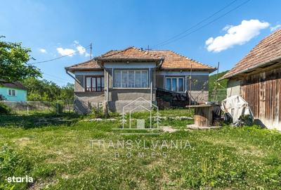 Casă cu 2 camere în Vale - 4