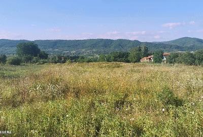 Teren de 5000 mp, în Unguriu