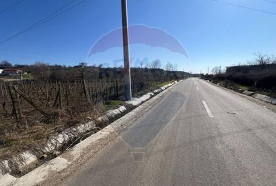 Teren Construcții intravilan de 2700 mp, în Movilița - 2