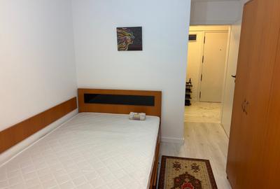 Apartament cu 2 camere decomandat, mobilat în Berceni - 10