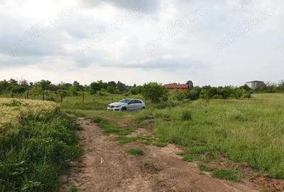 Teren de 10100 mp, în Tâncăbești - 7